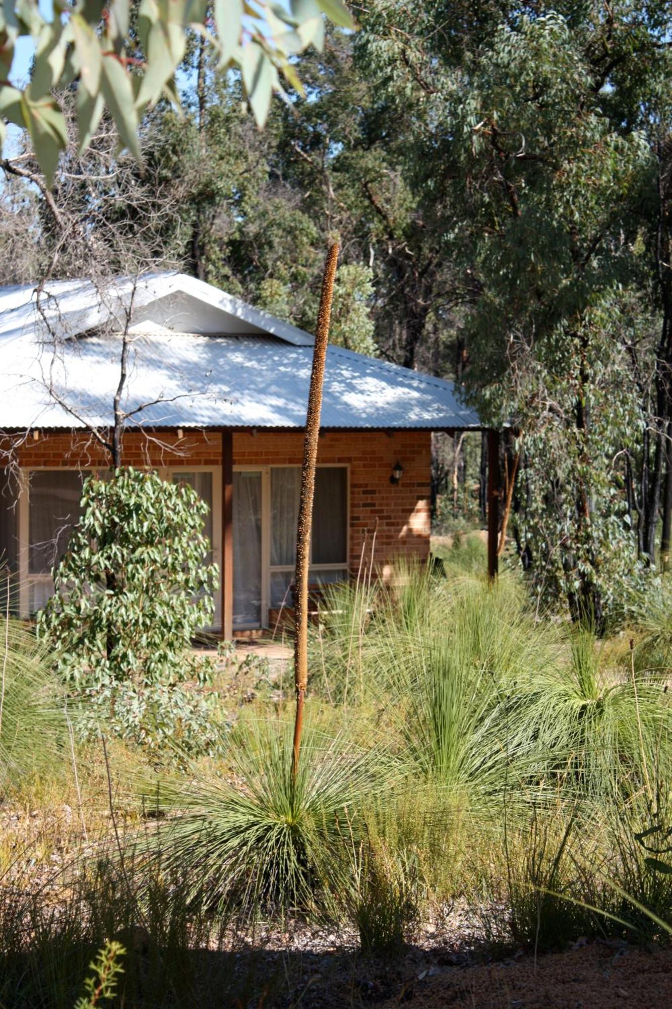 Chalets On Stoneville 레드클리프 외부 사진
